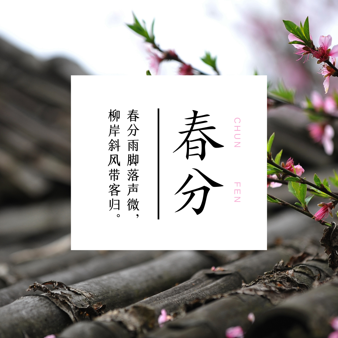 春分|春醒万物生