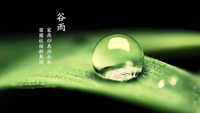 谷雨芳菲 美好焕新 谷雨芳菲 美好焕新