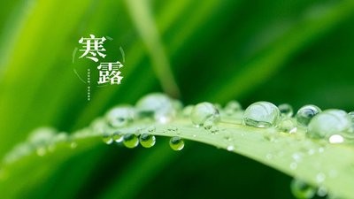 t04c9e33f6fa1d7a270.jpg