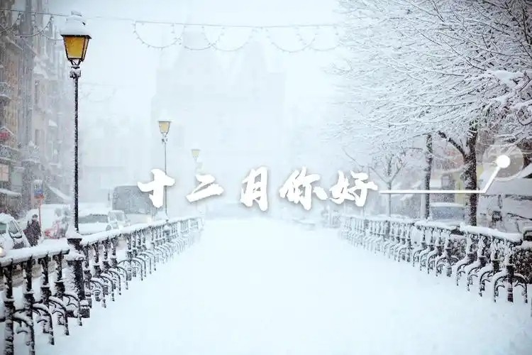 u=400695417，1372743569&fm=253&fmt=auto&app=138&f=JPEG.webp.jpg